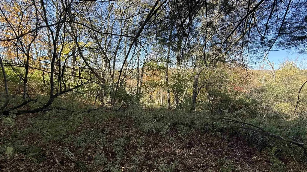 0 Vt Route 100c Johnson VT 05656