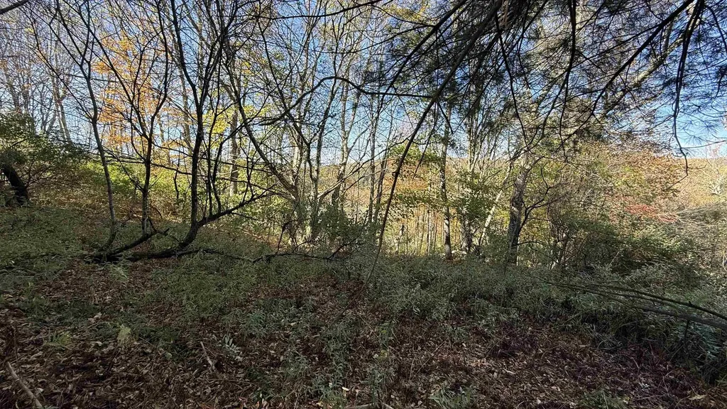 0 Vt Route 100c Johnson VT 05656