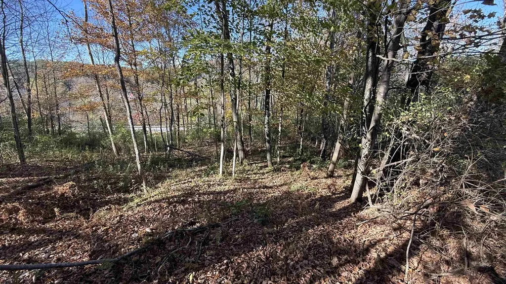 0 Vt Route 100c Johnson VT 05656