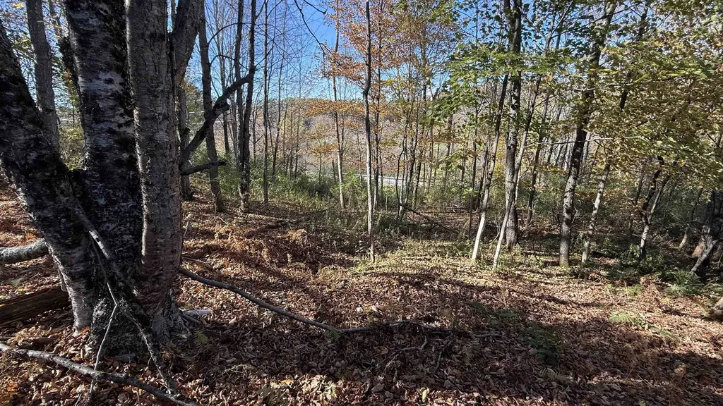 0 Vt Route 100c Johnson VT 05656