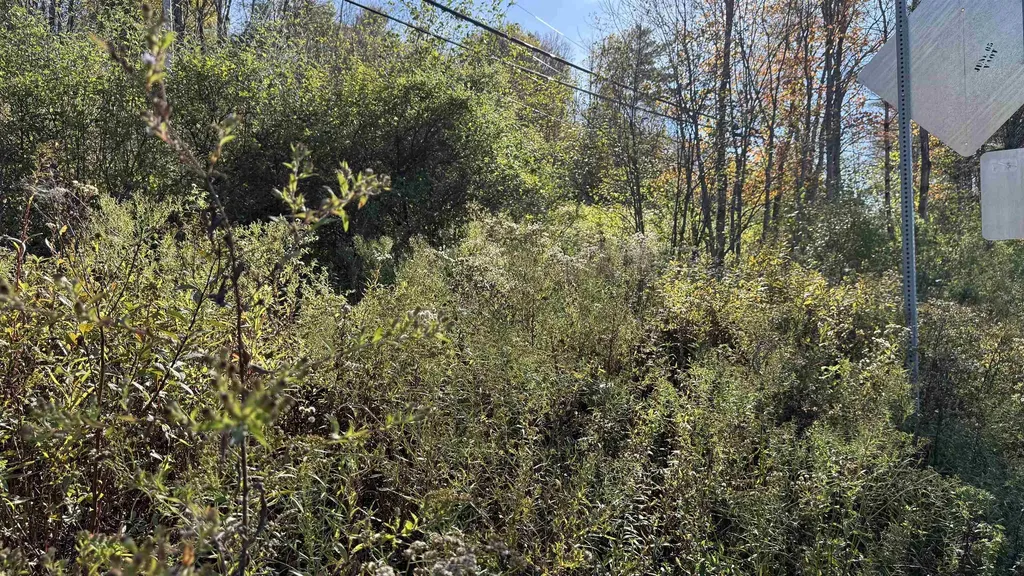 0 Vt Route 100c Johnson VT 05656