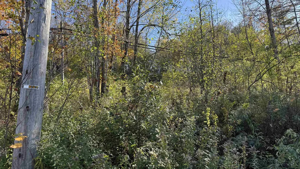 0 Vt Route 100c Johnson VT 05656