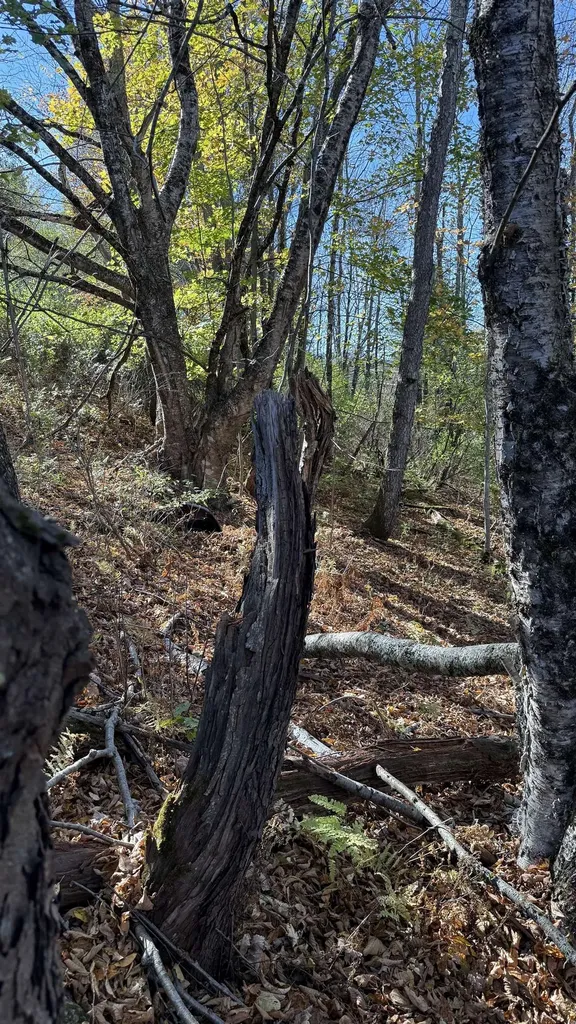 0 Vt Route 100c Johnson VT 05656