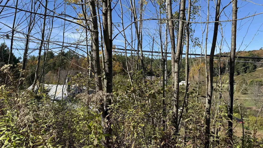 0 Vt Route 100c Johnson VT 05656