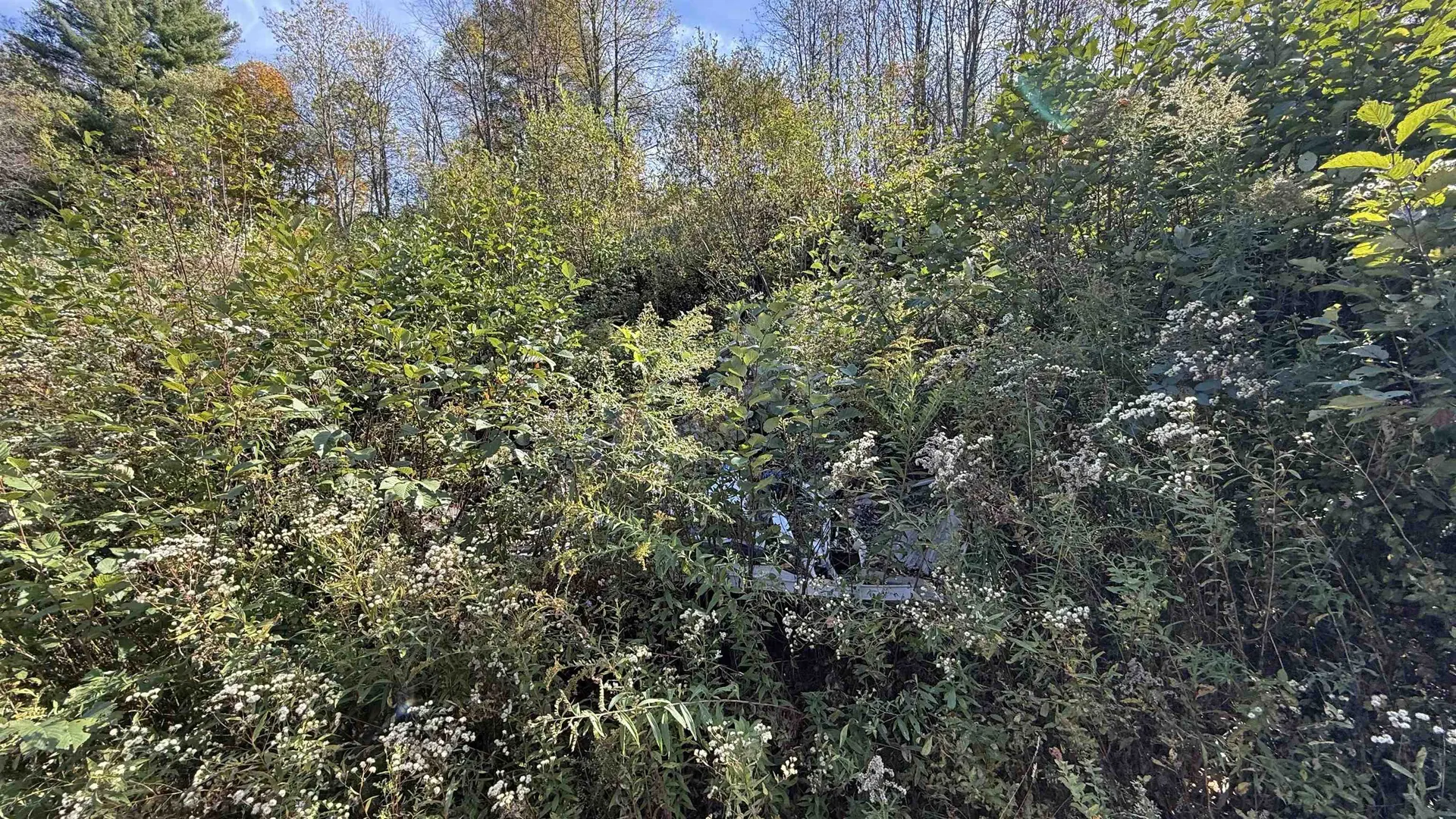 0 Vt Route 100c Johnson VT 05656