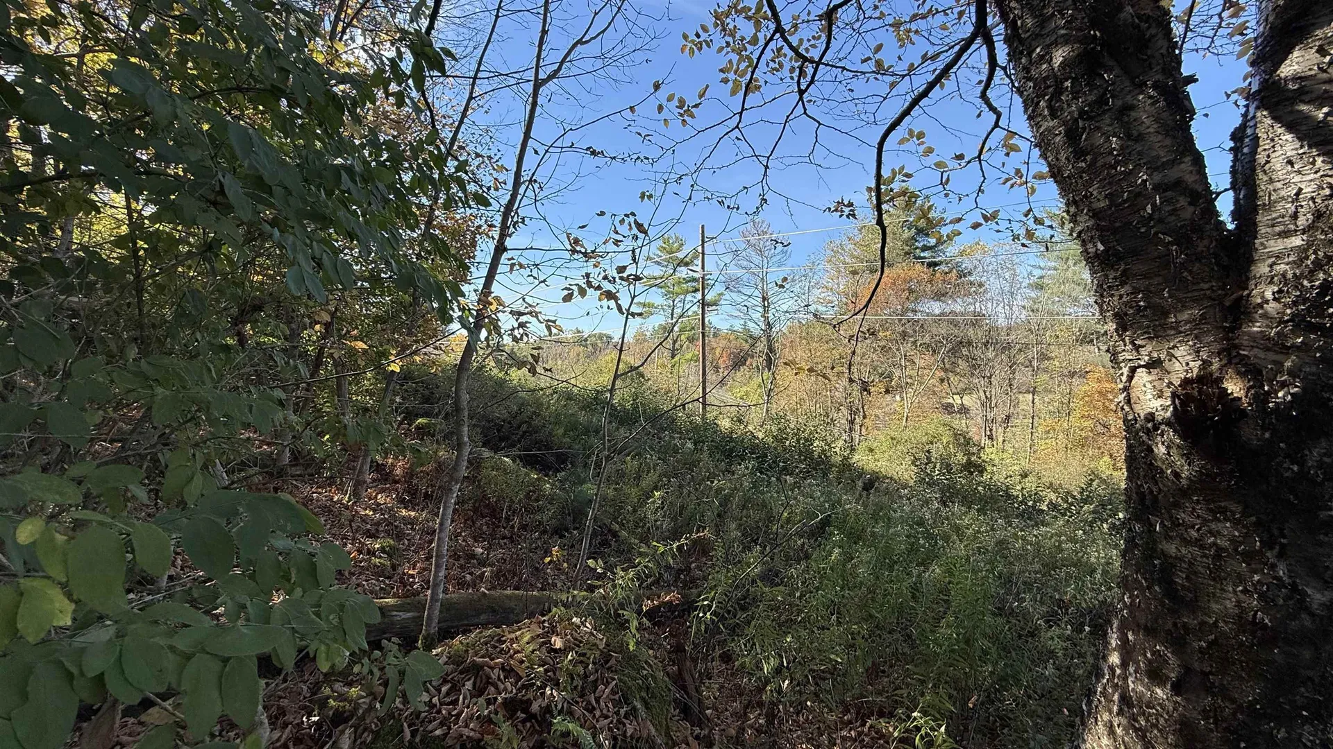 0 Vt Route 100c Johnson VT 05656