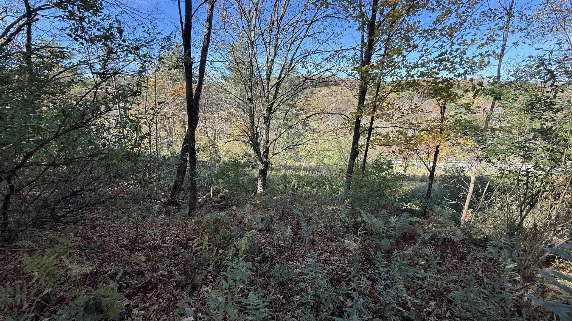 0 Vt Route 100c Johnson VT 05656