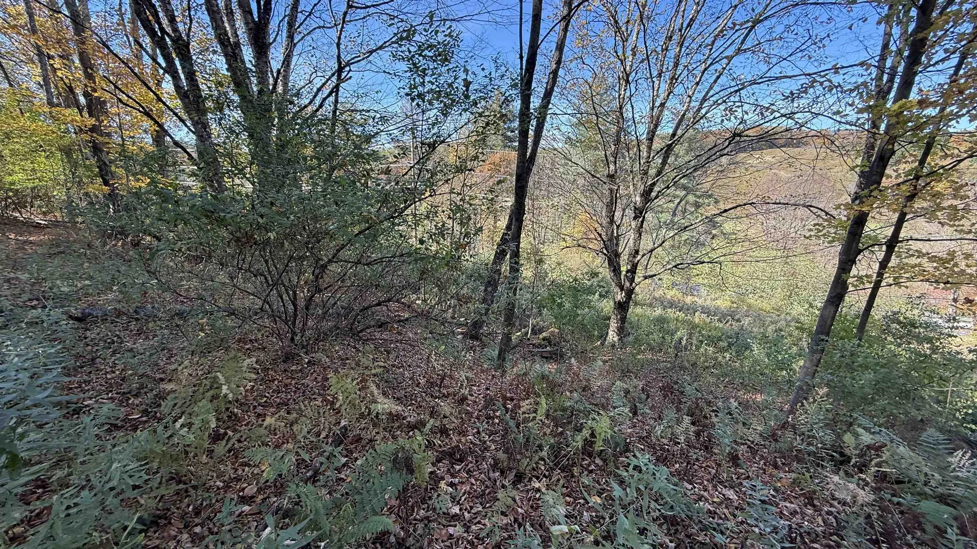 0 Vt Route 100c Johnson VT 05656