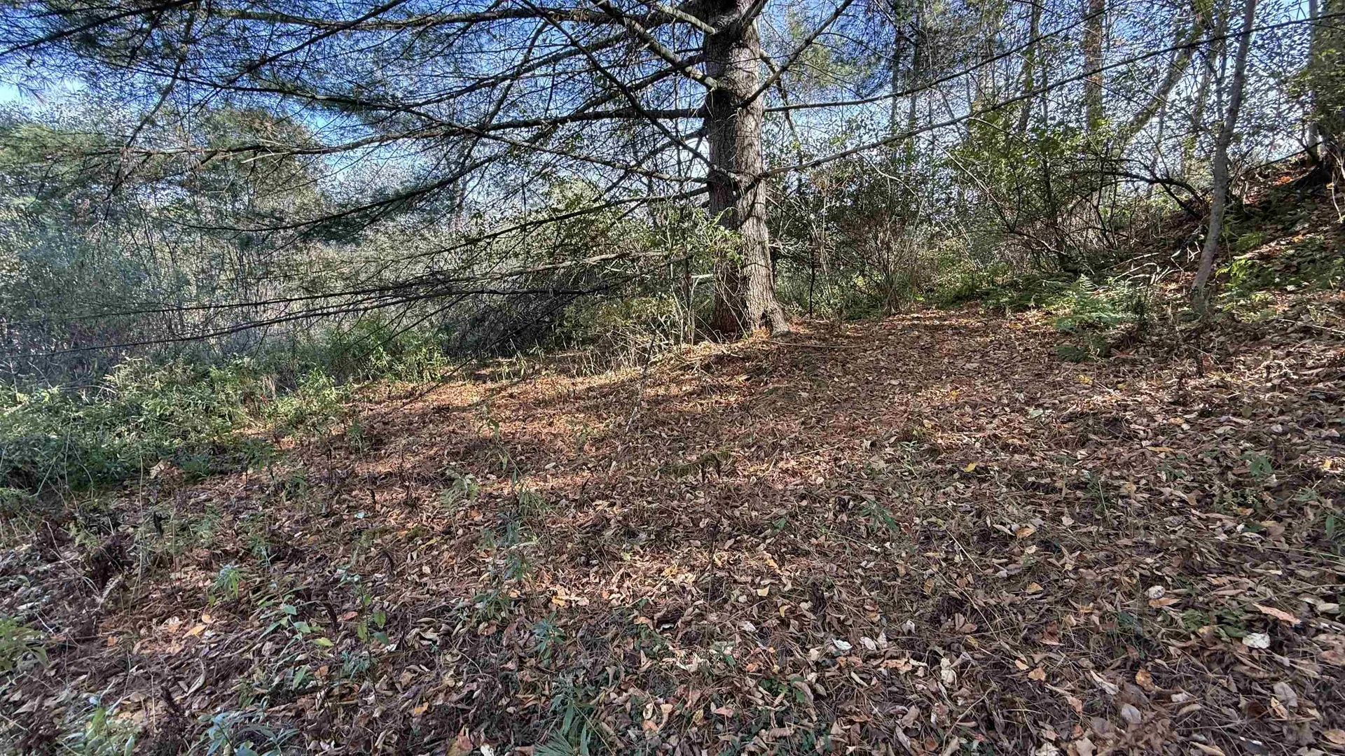 0 Vt Route 100c Johnson VT 05656