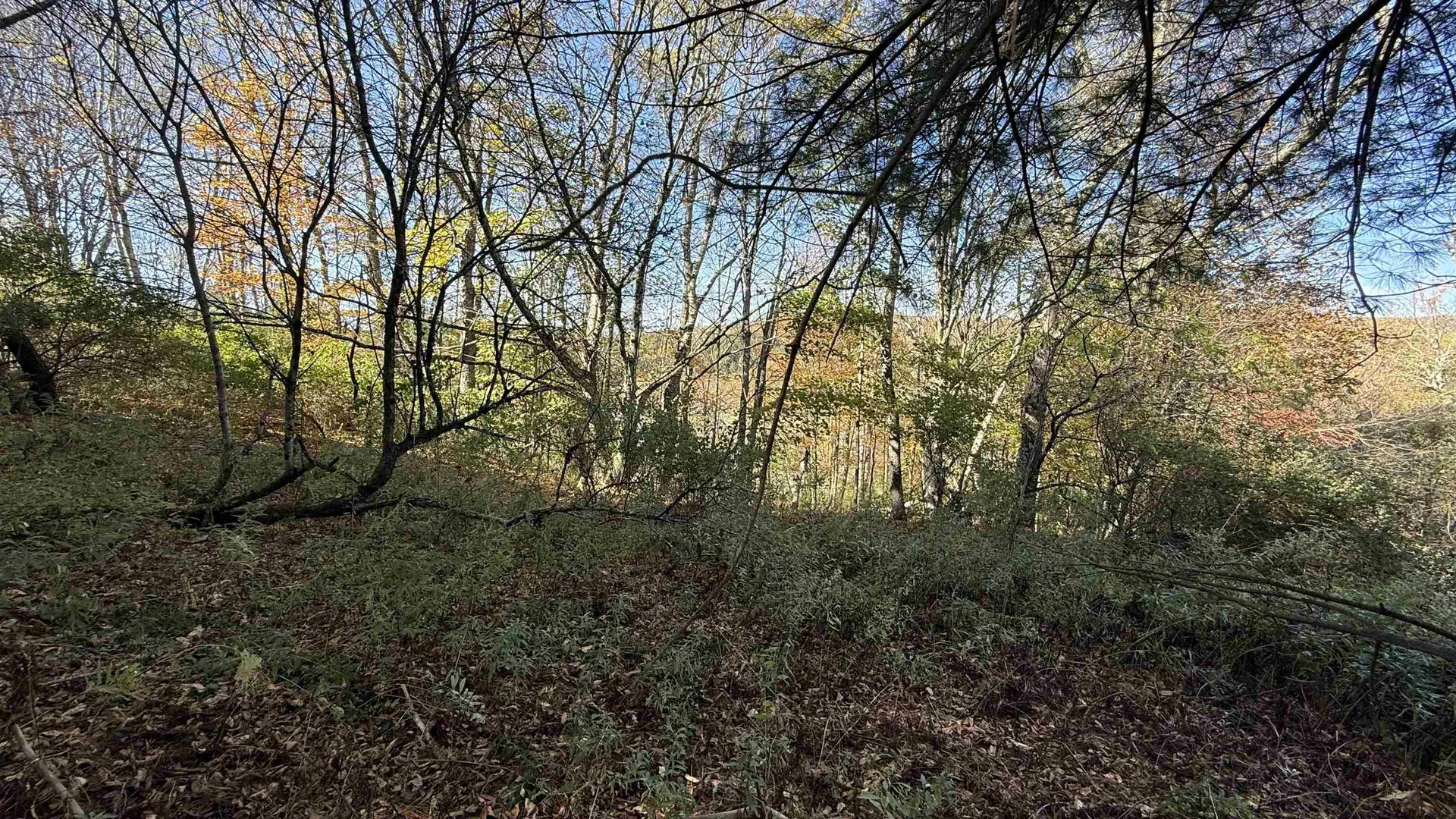 0 Vt Route 100c Johnson VT 05656