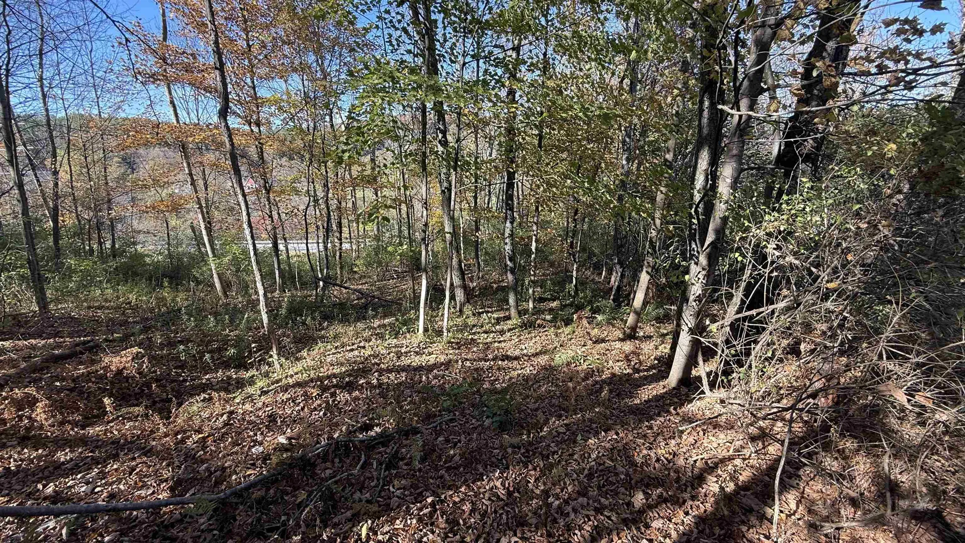 0 Vt Route 100c Johnson VT 05656