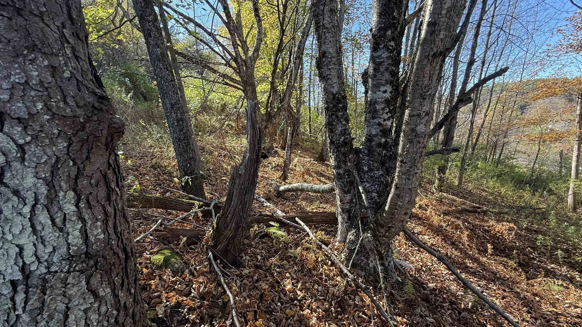 0 Vt Route 100c Johnson VT 05656