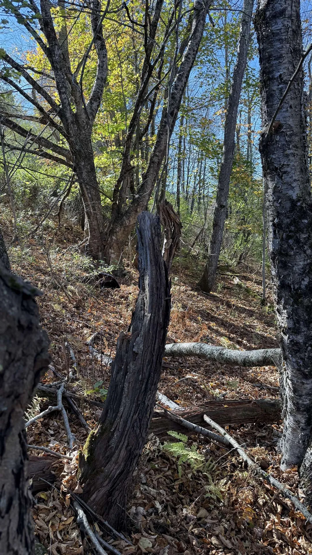 0 Vt Route 100c Johnson VT 05656