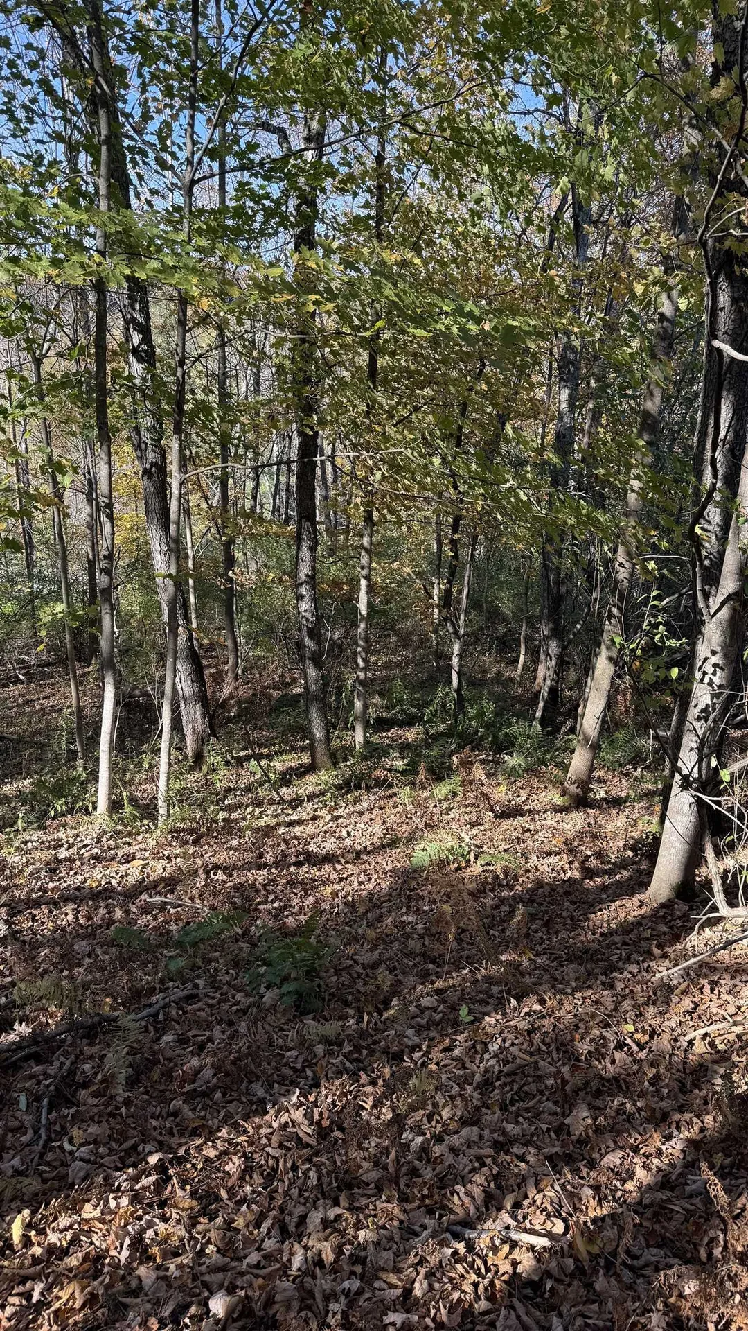 0 Vt Route 100c Johnson VT 05656