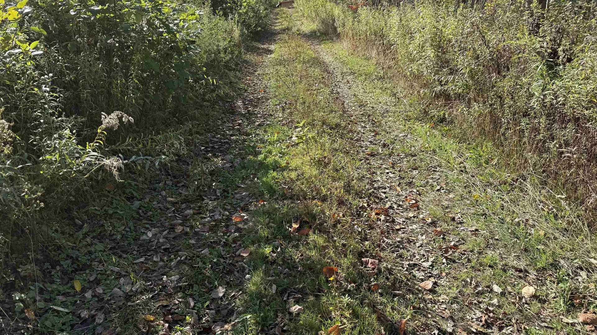 0 Vt Route 100c Johnson VT 05656