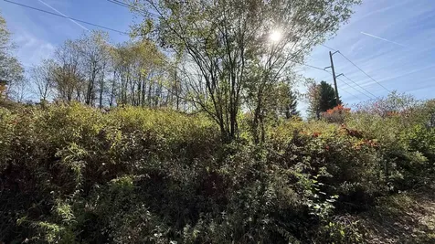 0 Vt Route 100c Johnson VT 05656