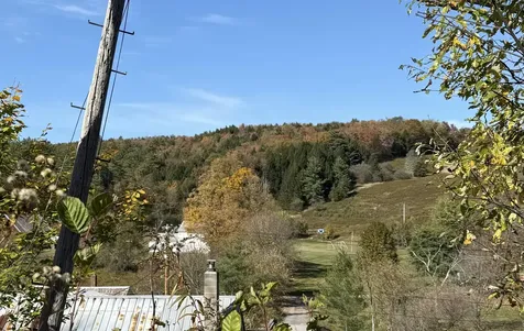 0 Vt Route 100c Johnson VT 05656