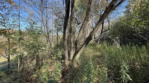 0 Vt Route 100c Johnson VT 05656