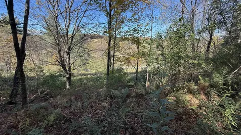 0 Vt Route 100c Johnson VT 05656