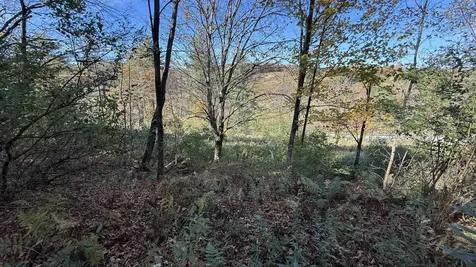 0 Vt Route 100c Johnson VT 05656