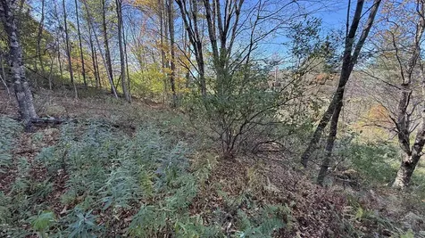 0 Vt Route 100c Johnson VT 05656