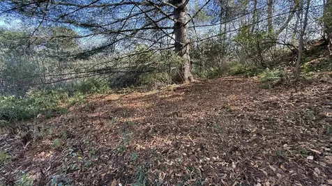 0 Vt Route 100c Johnson VT 05656