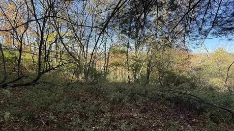 0 Vt Route 100c Johnson VT 05656