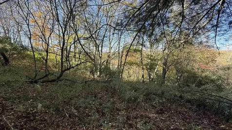 0 Vt Route 100c Johnson VT 05656