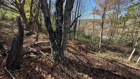 0 Vt Route 100c Johnson VT 05656