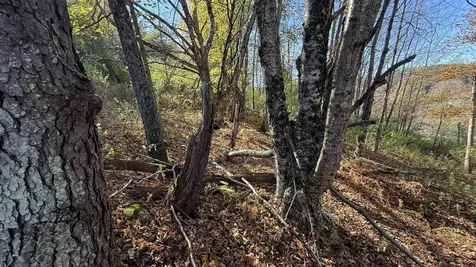 0 Vt Route 100c Johnson VT 05656