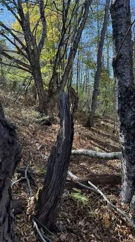 0 Vt Route 100c Johnson VT 05656