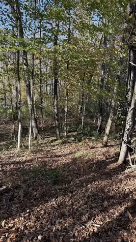 0 Vt Route 100c Johnson VT 05656