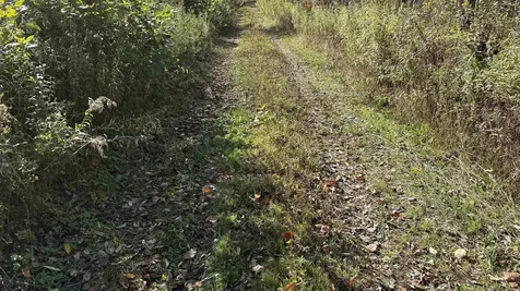 0 Vt Route 100c Johnson VT 05656