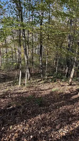 0 Vt Route 100c Johnson VT 05656