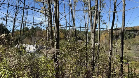 0 Vt Route 100c Johnson VT 05656