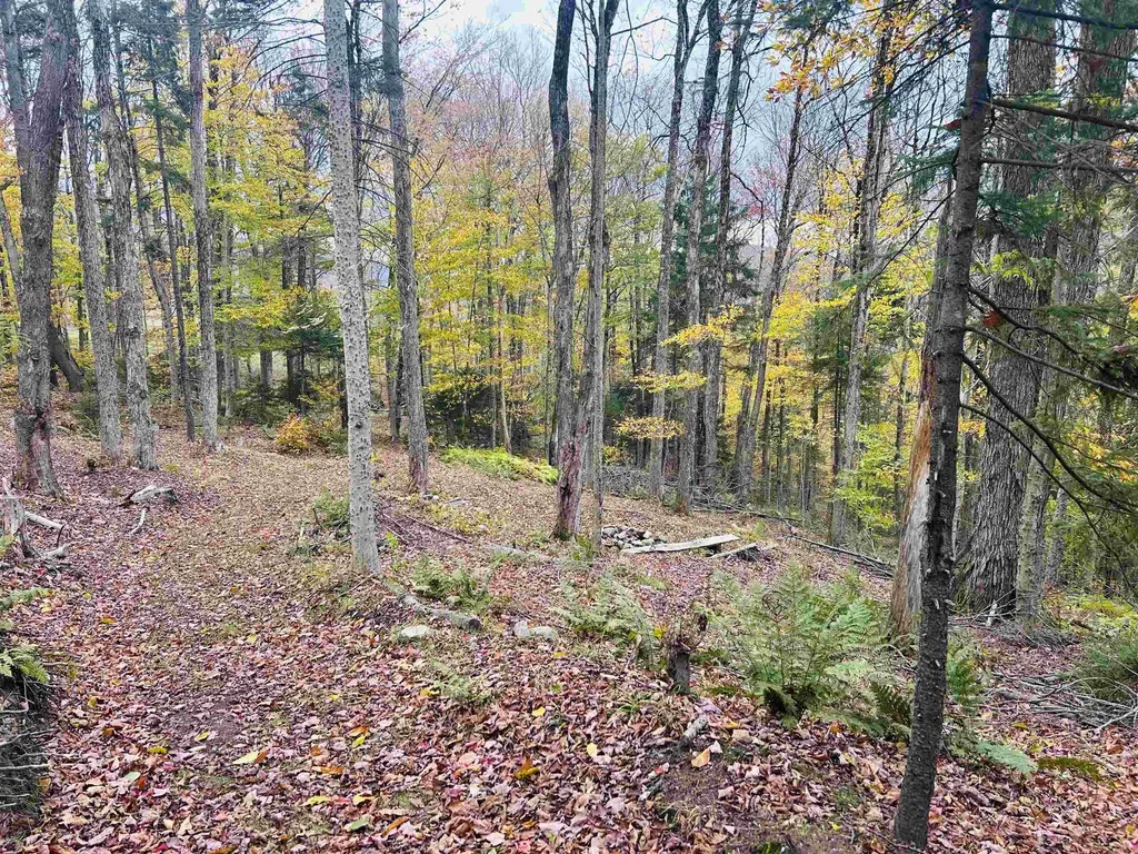 00 Bergrucken Lane Readsboro VT 05350