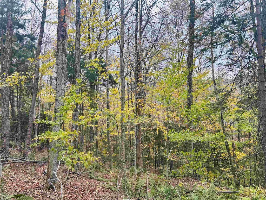 00 Bergrucken Lane Readsboro VT 05350