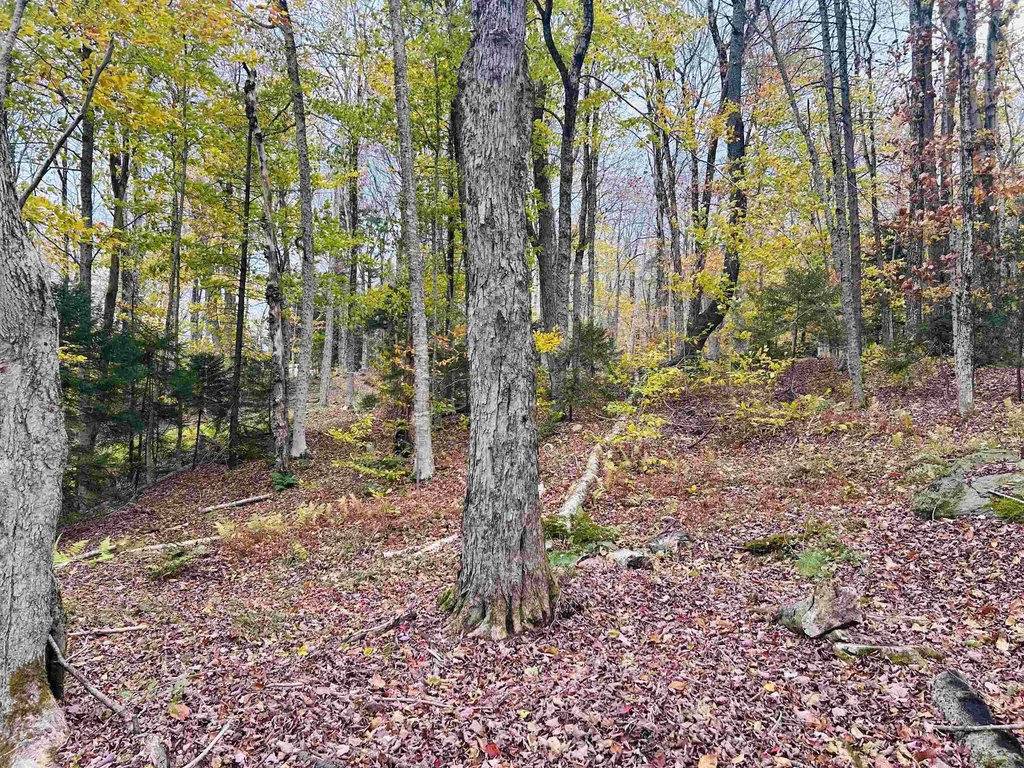 00 Bergrucken Lane Readsboro VT 05350