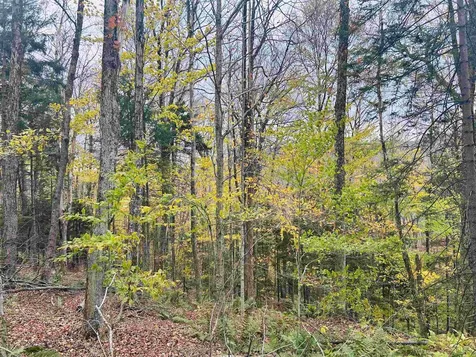 00 Bergrucken Lane Readsboro VT 05350