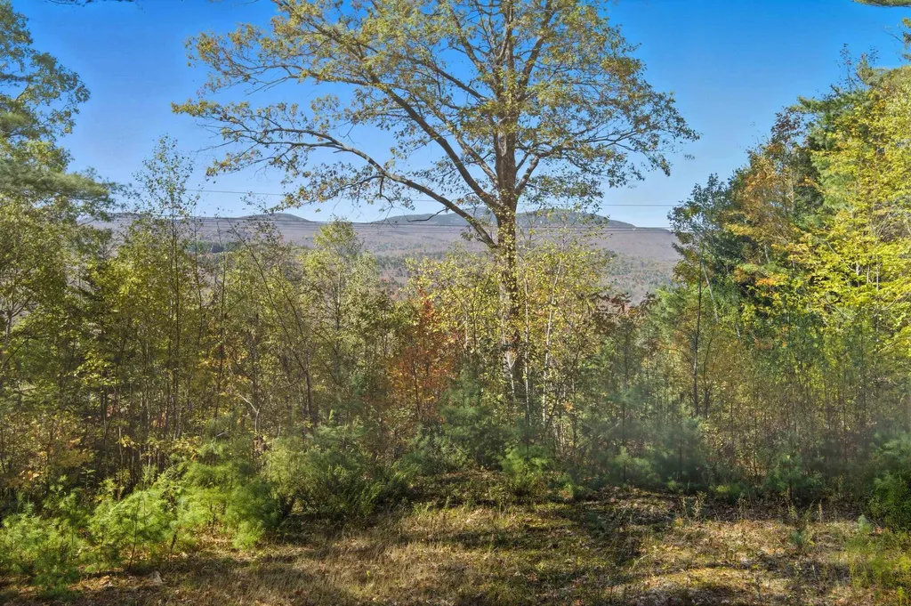 301 Perkins Hill Road Alexandria NH 03222