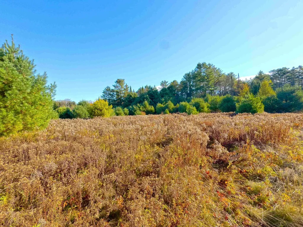 Lot 10 Landry Road Dalton NH 03598