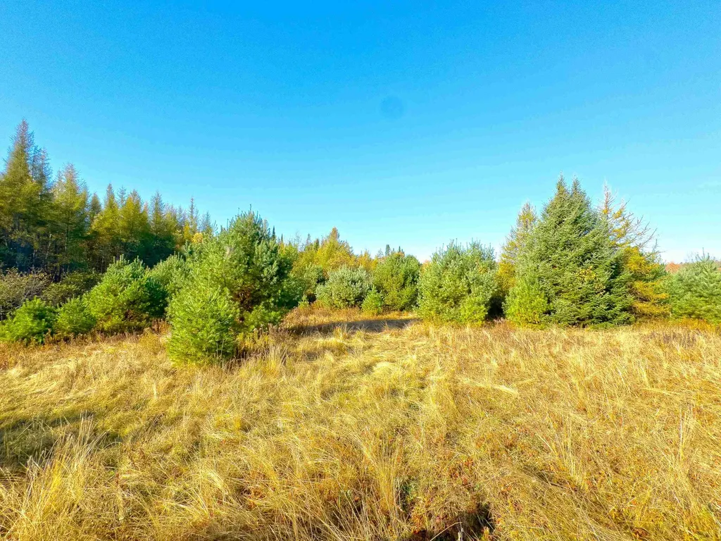 Lot 10 Landry Road Dalton NH 03598