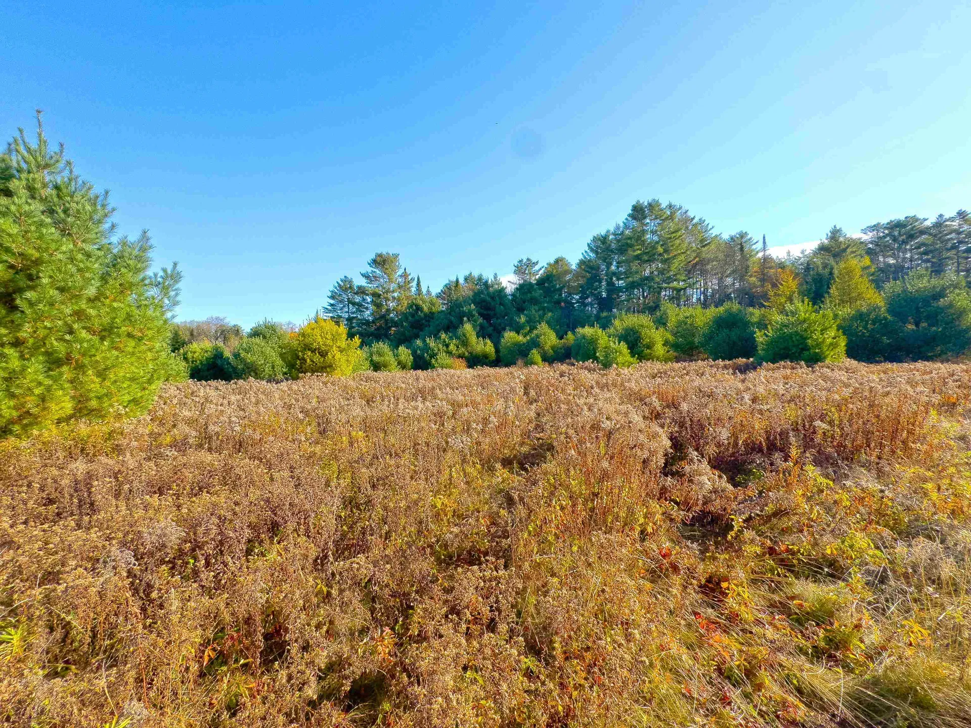 Lot 10 Landry Road Dalton NH 03598