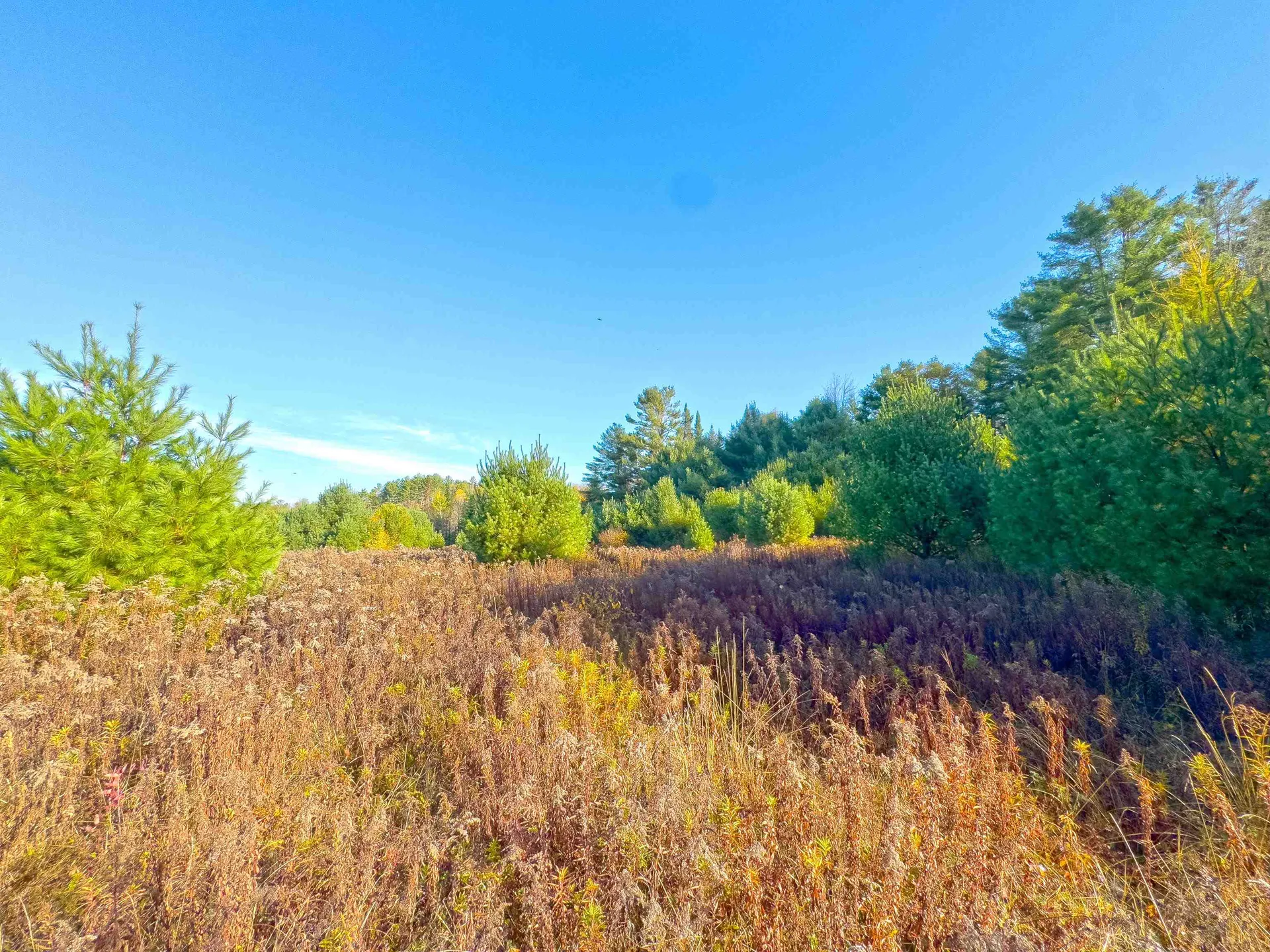 Lot 10 Landry Road Dalton NH 03598