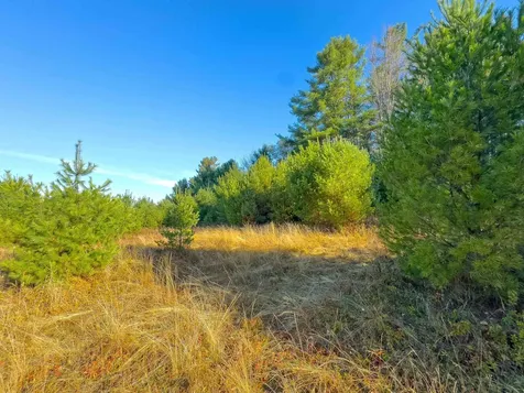 Lot 10 Landry Road Dalton NH 03598