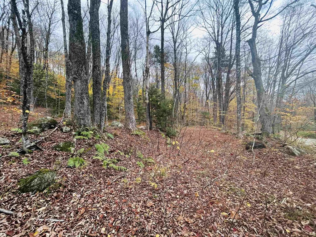 00 Alpendorf Avenue Readsboro VT 05350