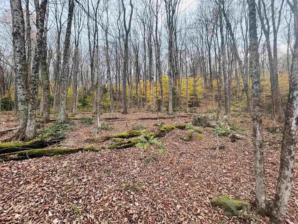 00 Alpendorf Avenue Readsboro VT 05350