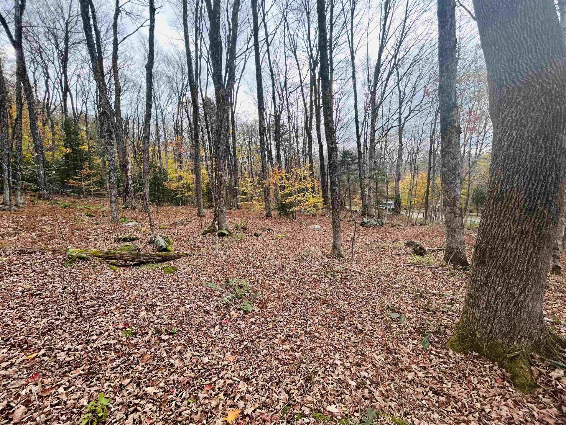 00 Alpendorf Avenue Readsboro VT 05350