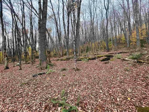 00 Alpendorf Avenue Readsboro VT 05350