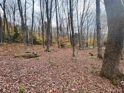 00 Alpendorf Avenue Readsboro VT 05350